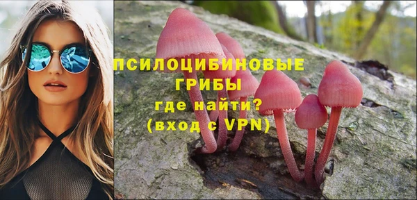 крисы Алексин