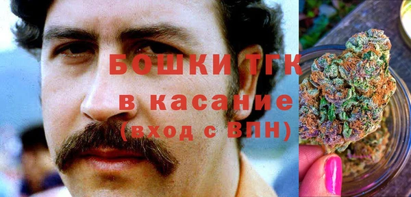 твердый Алзамай