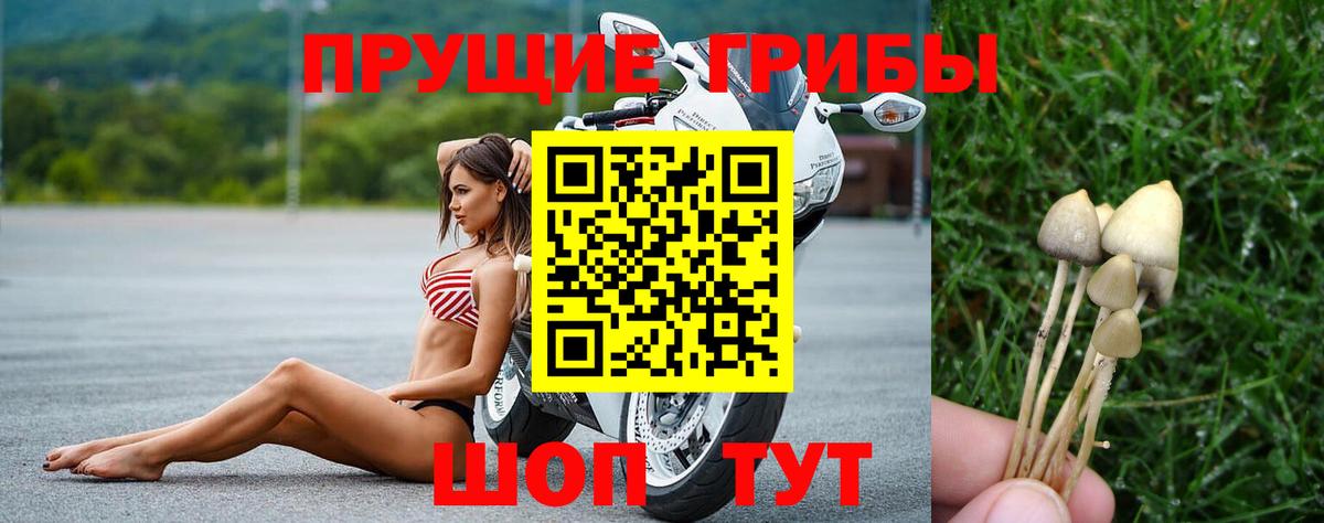 Старый Оскол  Псилоцибиновые грибы GOLDEN TEACHER  Вход с VPN 